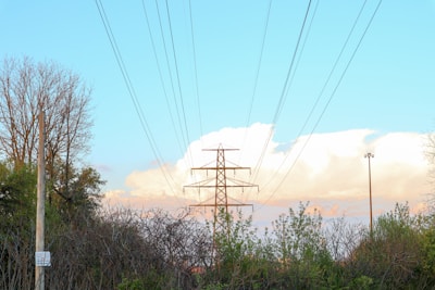 A scene with a metal electricity pylon surrounded by dense vegetation, predominantly trees and shrubs. Power lines extend from the structure into the blue sky, which is decorated by large fluffy white clouds. A wooden utility pole and a tall street light are also visible.