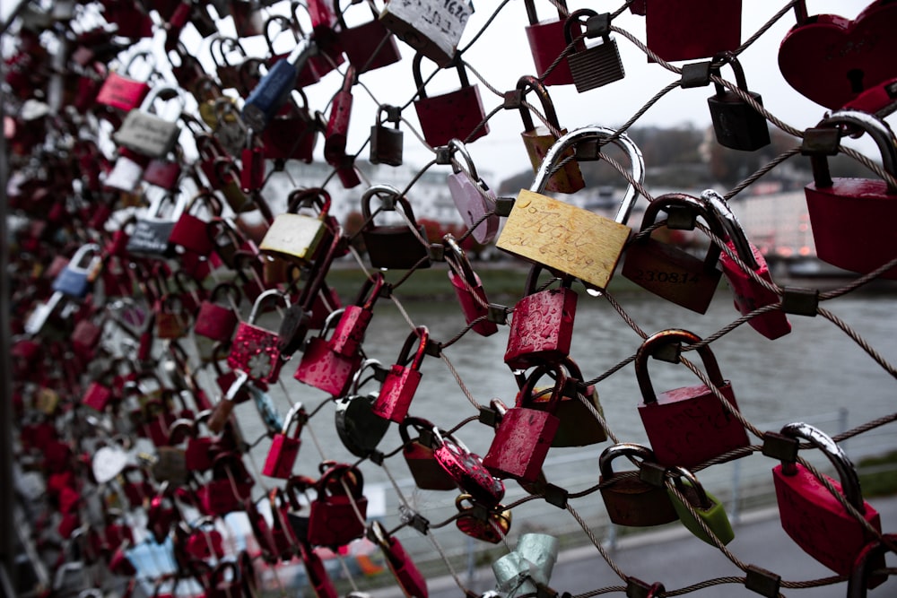 red and gold padlock on chain link fence