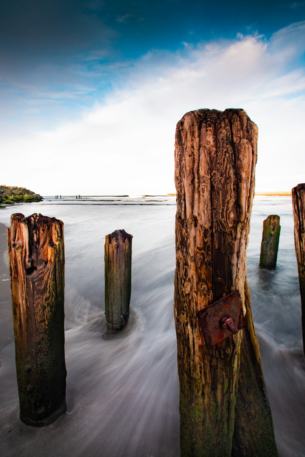 brown wood log on water