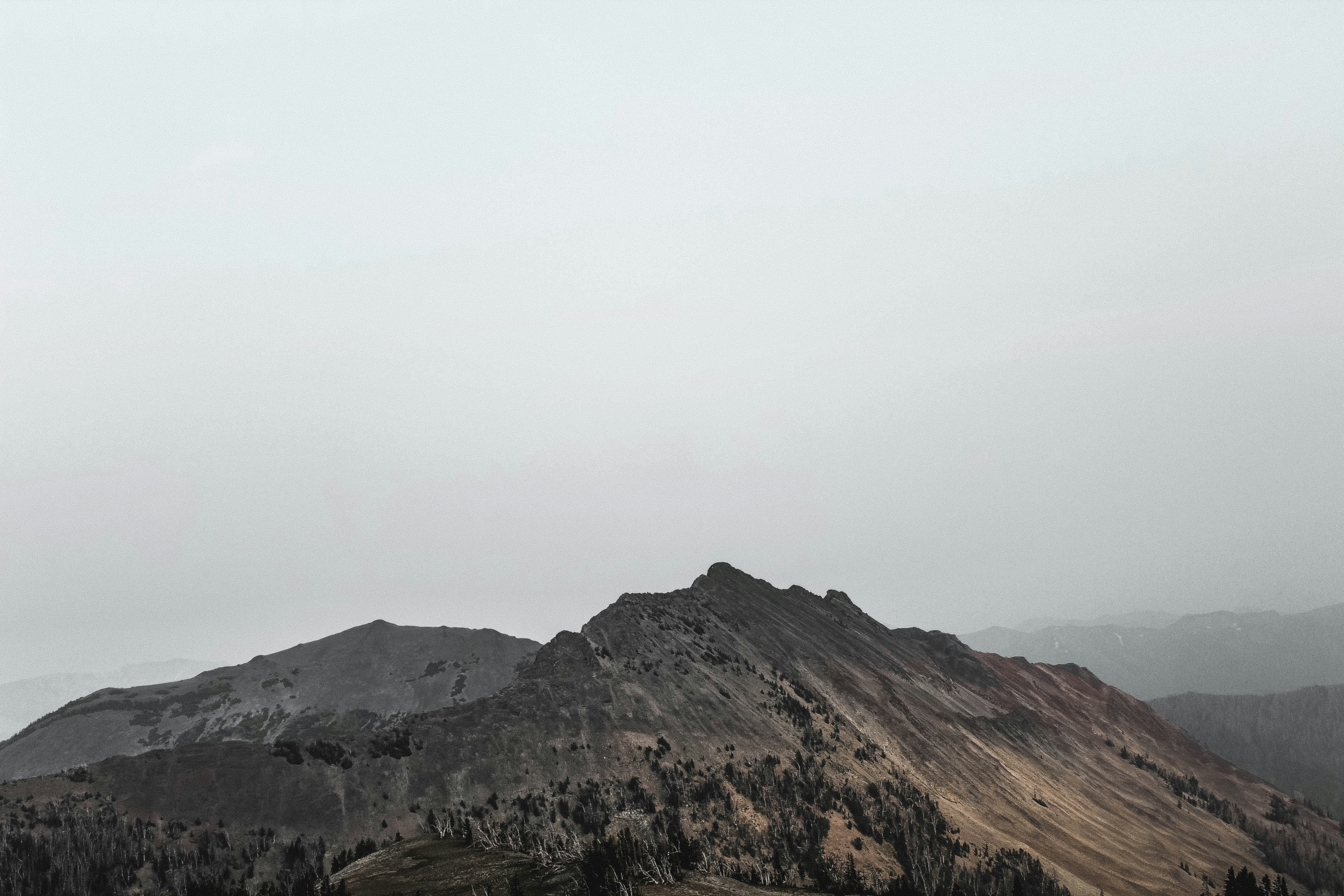 Photo by zachbeckmandesign