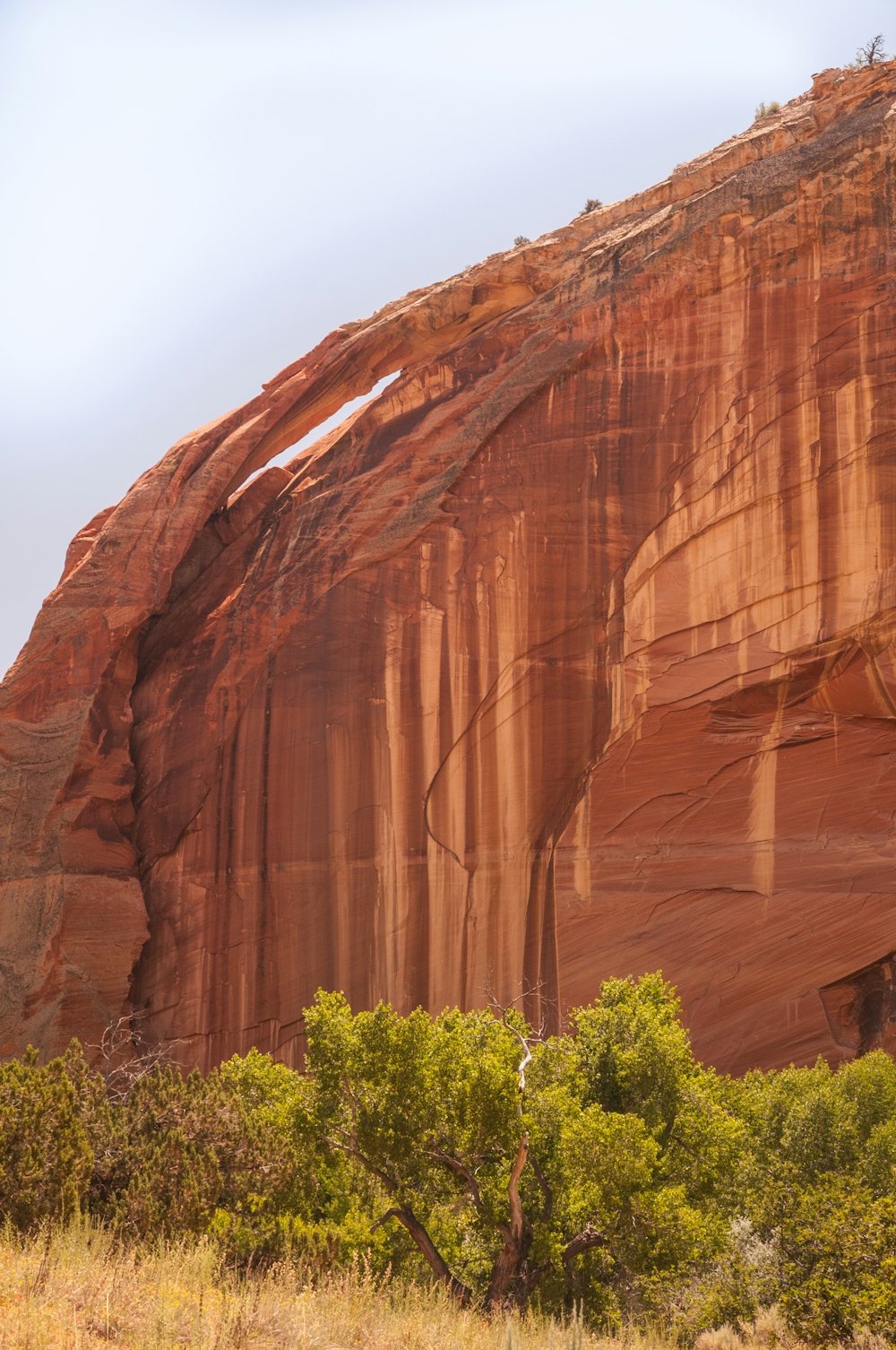 brown rock formation during daytime