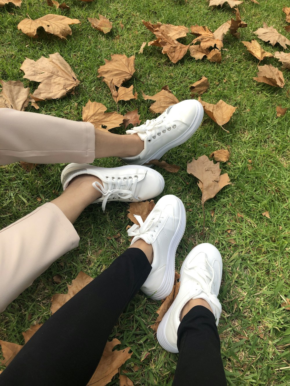 Foto Persona con zapatillas Nike blancas – Imagen Colina de un árbol gratis  en Unsplash