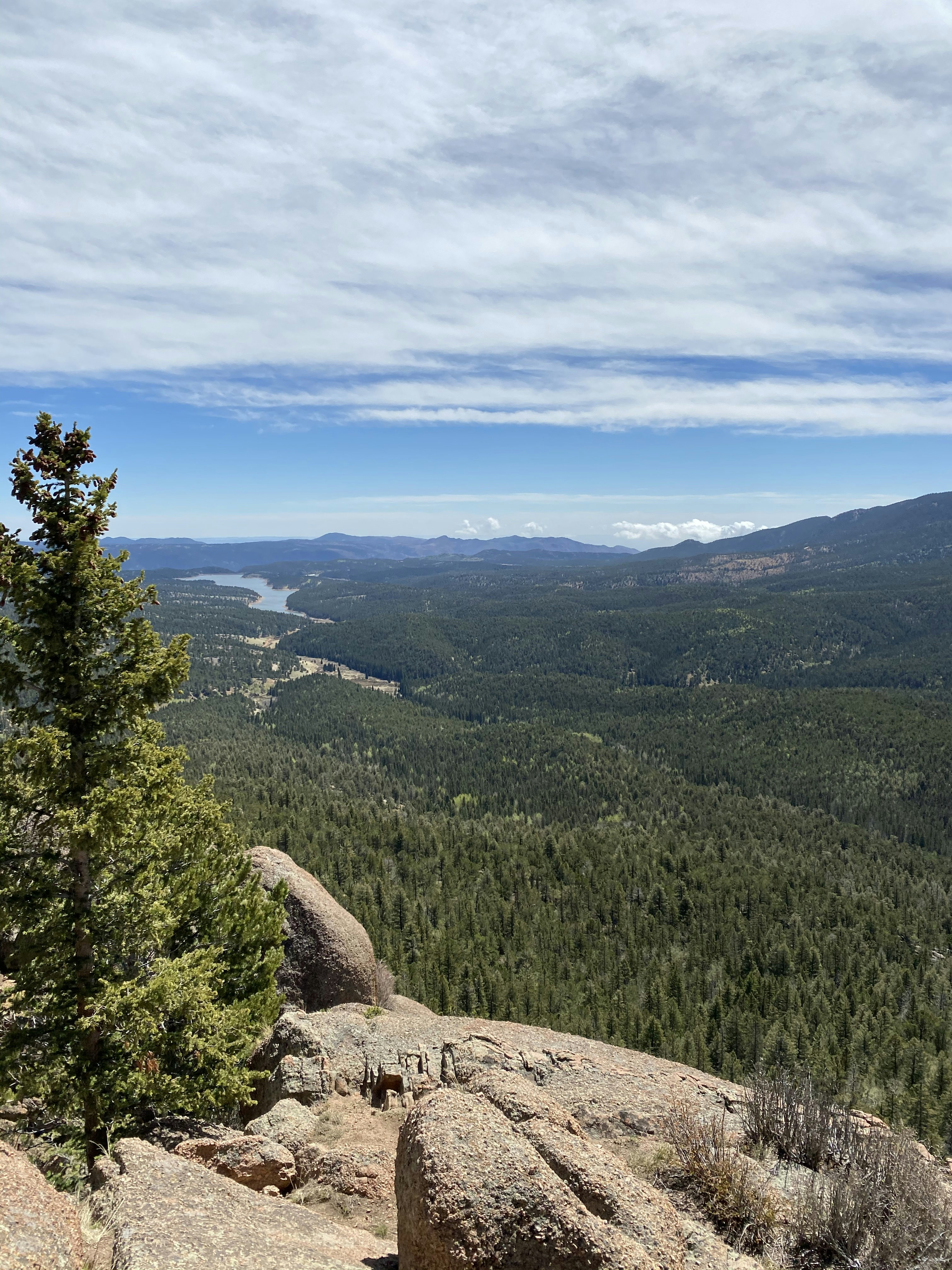 Photo by laitonbarbo