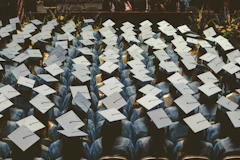 Rows of graduates in light blue gowns and white mortarboards seen from behind at a ceremony