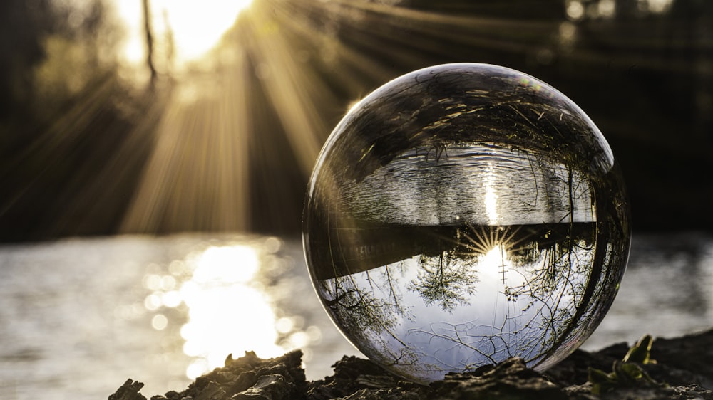 clear glass ball on brown dried leaves