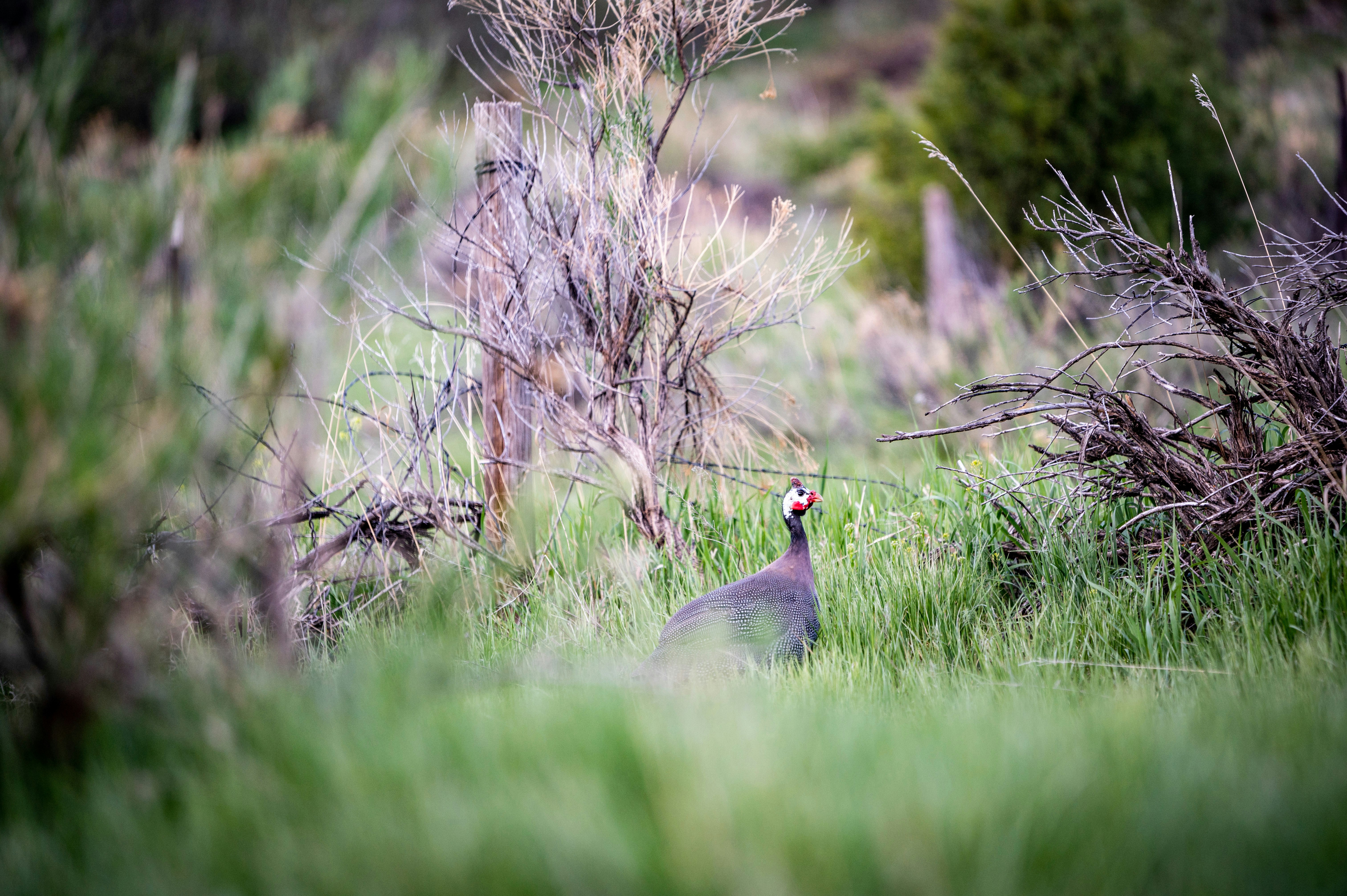 Photo by meteorphoto