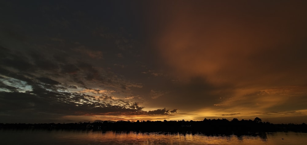 silhueta das árvores durante o pôr do sol