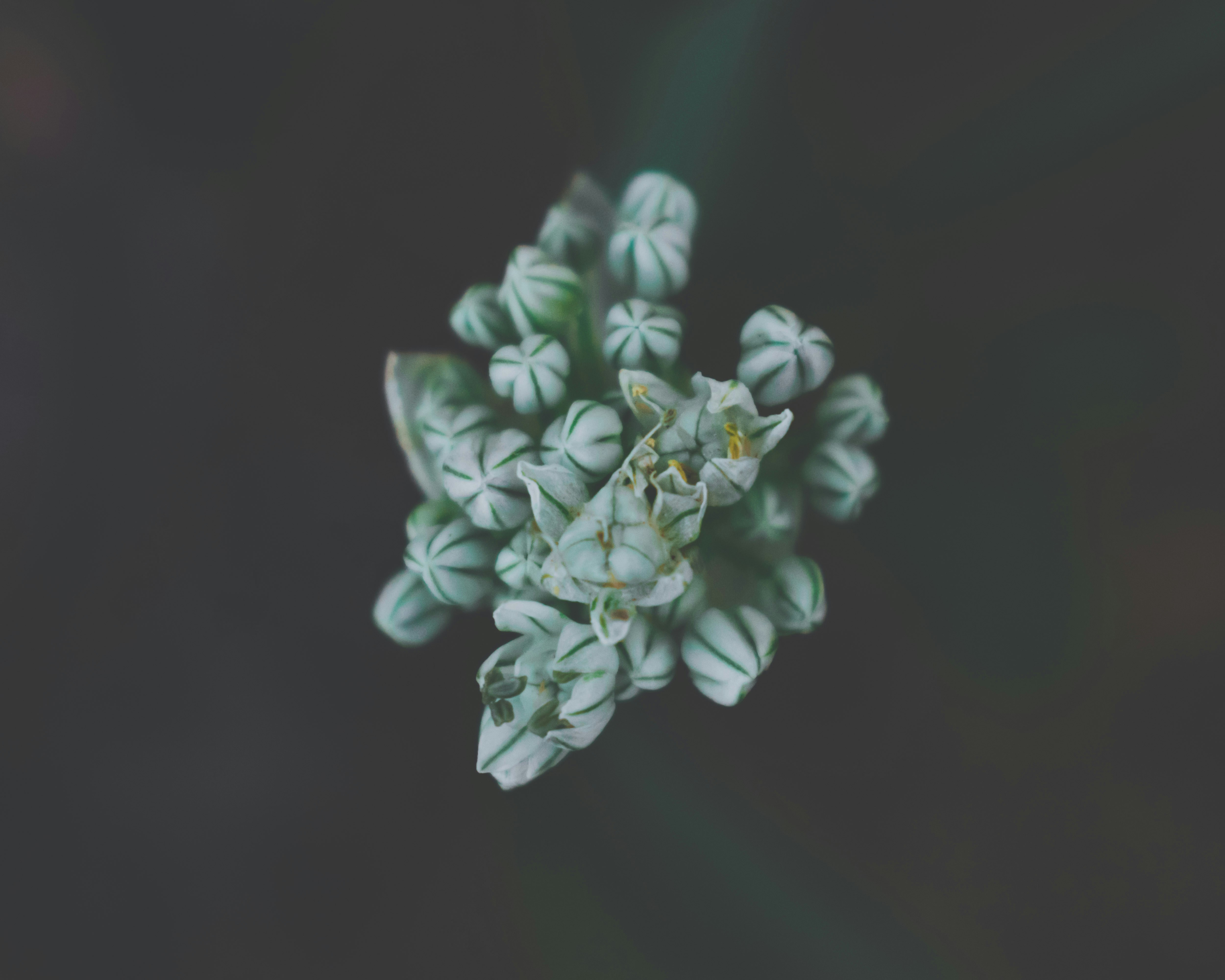 Photo by bilal_ayadi