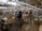 A busy supermarket scene with several people at the checkout counters. Customers are waiting in line with shopping carts filled with groceries. The store has various sections with shelves stocked with products. The ambiance is well lit with large overhead lights and natural light coming through the large windows.