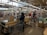 A busy supermarket scene with several people at the checkout counters. Customers are waiting in line with shopping carts filled with groceries. The store has various sections with shelves stocked with products. The ambiance is well lit with large overhead lights and natural light coming through the large windows.