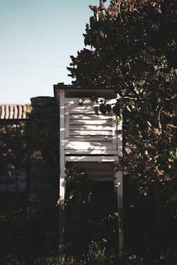 A craftsman carefully assembling a wooden garden structure surrounded by lush greenery.