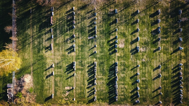 A peaceful view of the Chartreuse park landscape with beehives in the foreground.