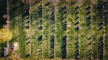 An aerial view of a lush green field with numerous rows of white hive boxes, likely used for beekeeping. The neatly organized hives cast long shadows across the grass, and the surrounding trees create a natural, tranquil setting.