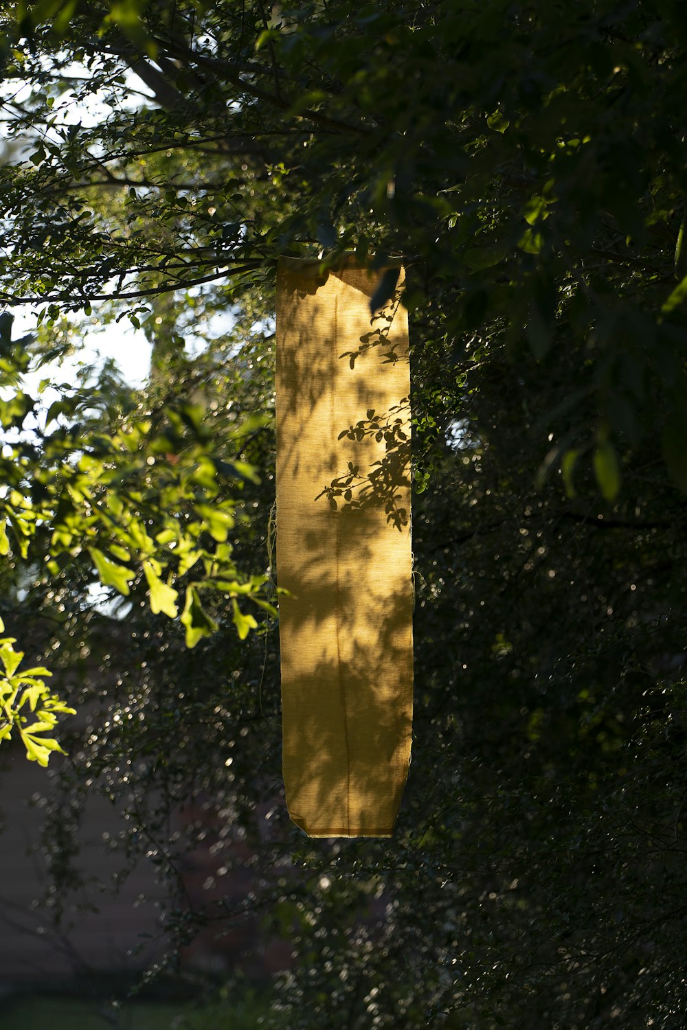 brown tree trunk with green leaves