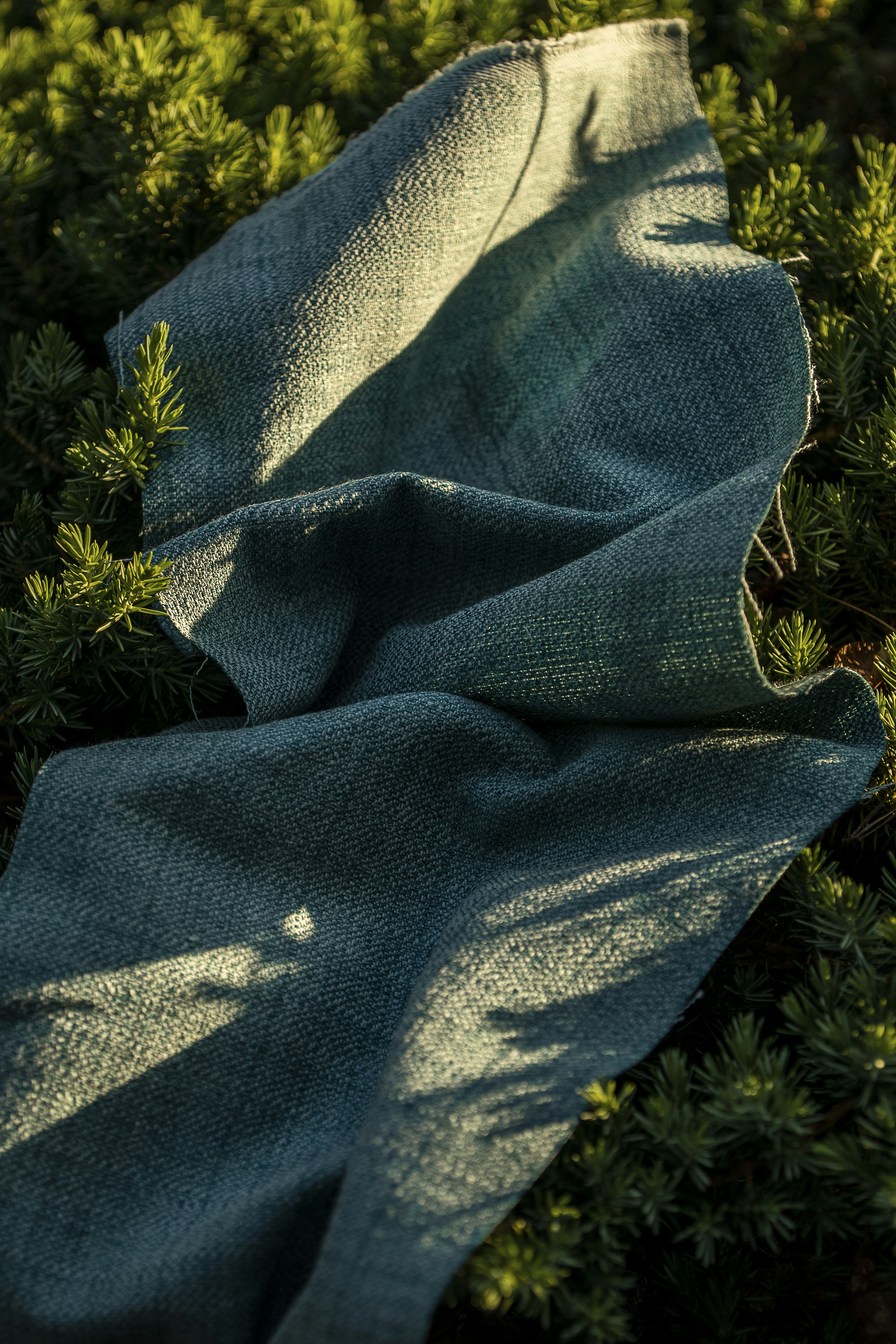 blue and white textile on green grass