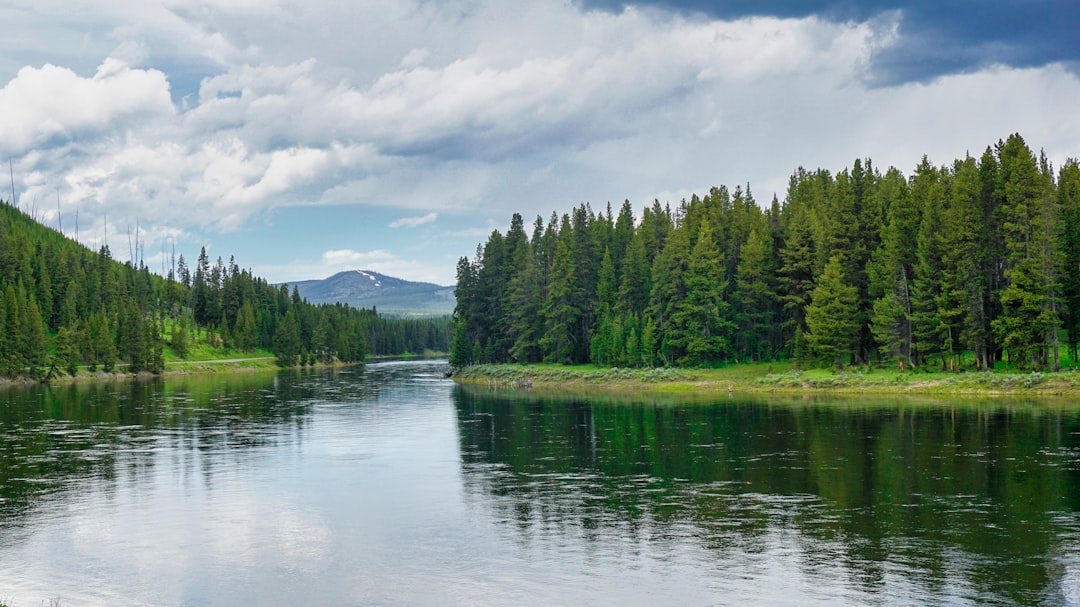 Nature reserve photo spot Yellowstone National Park Grand Teton