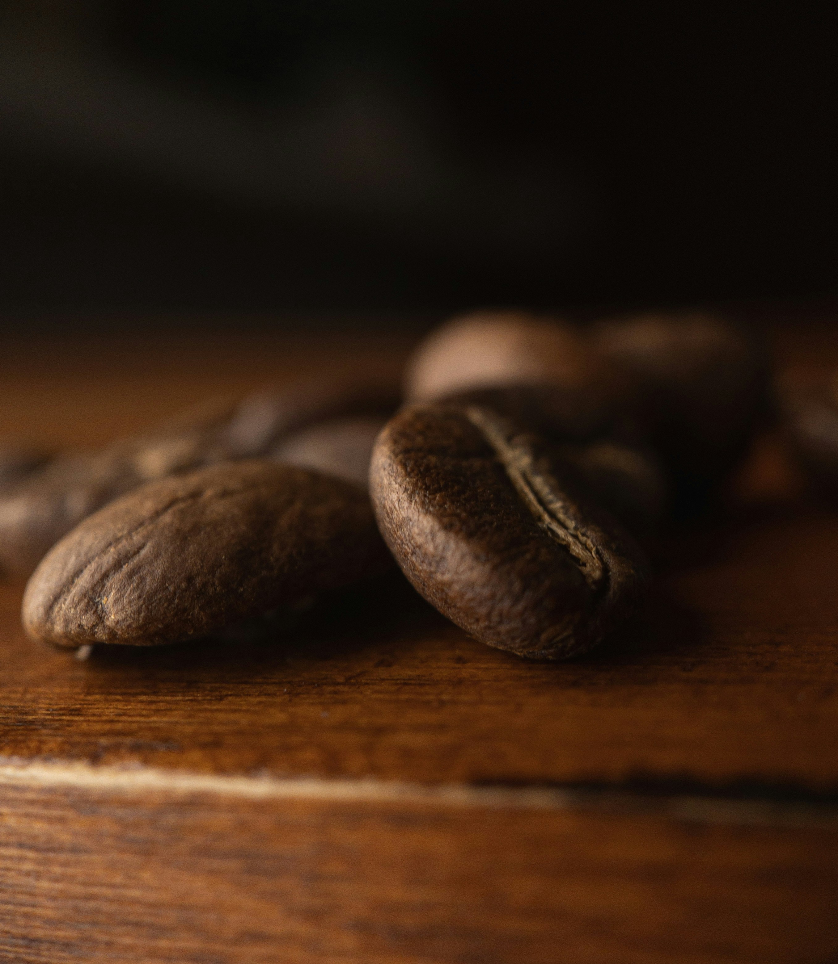 Photo by cobikrumholz