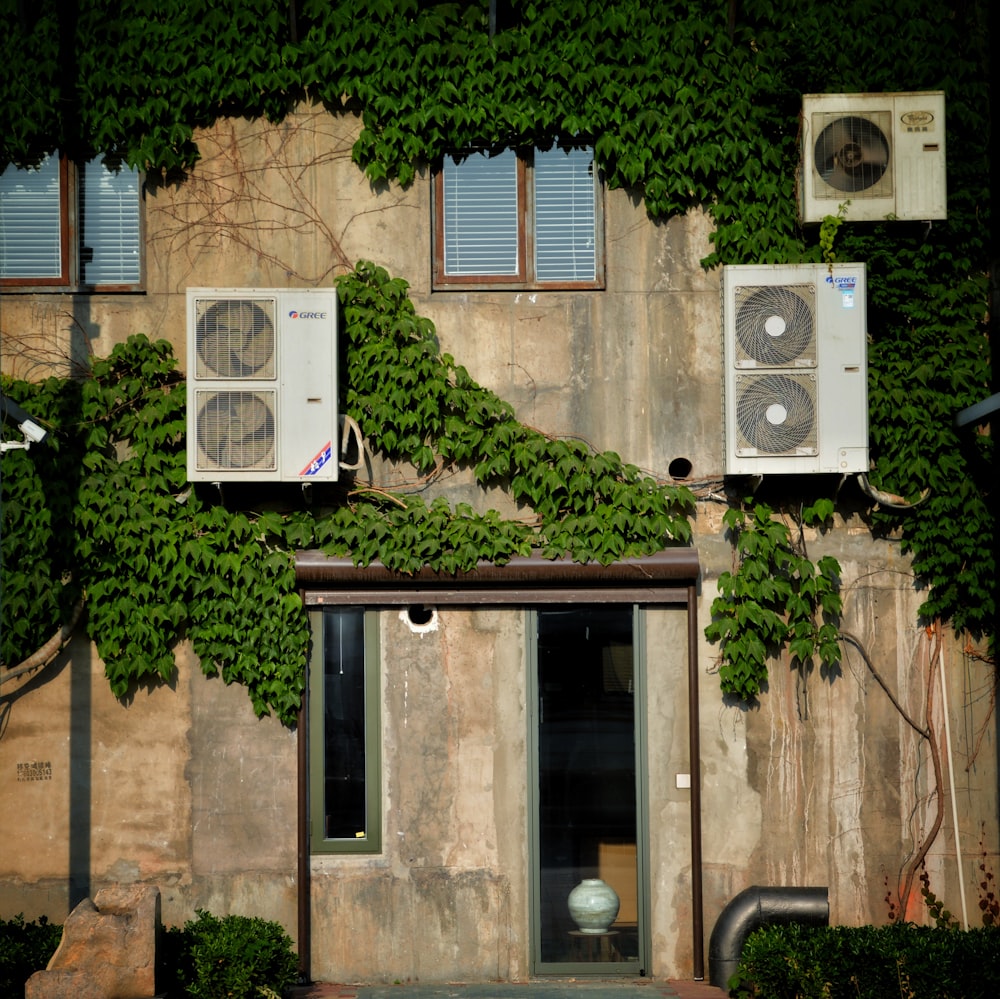 green plants on brown concrete building