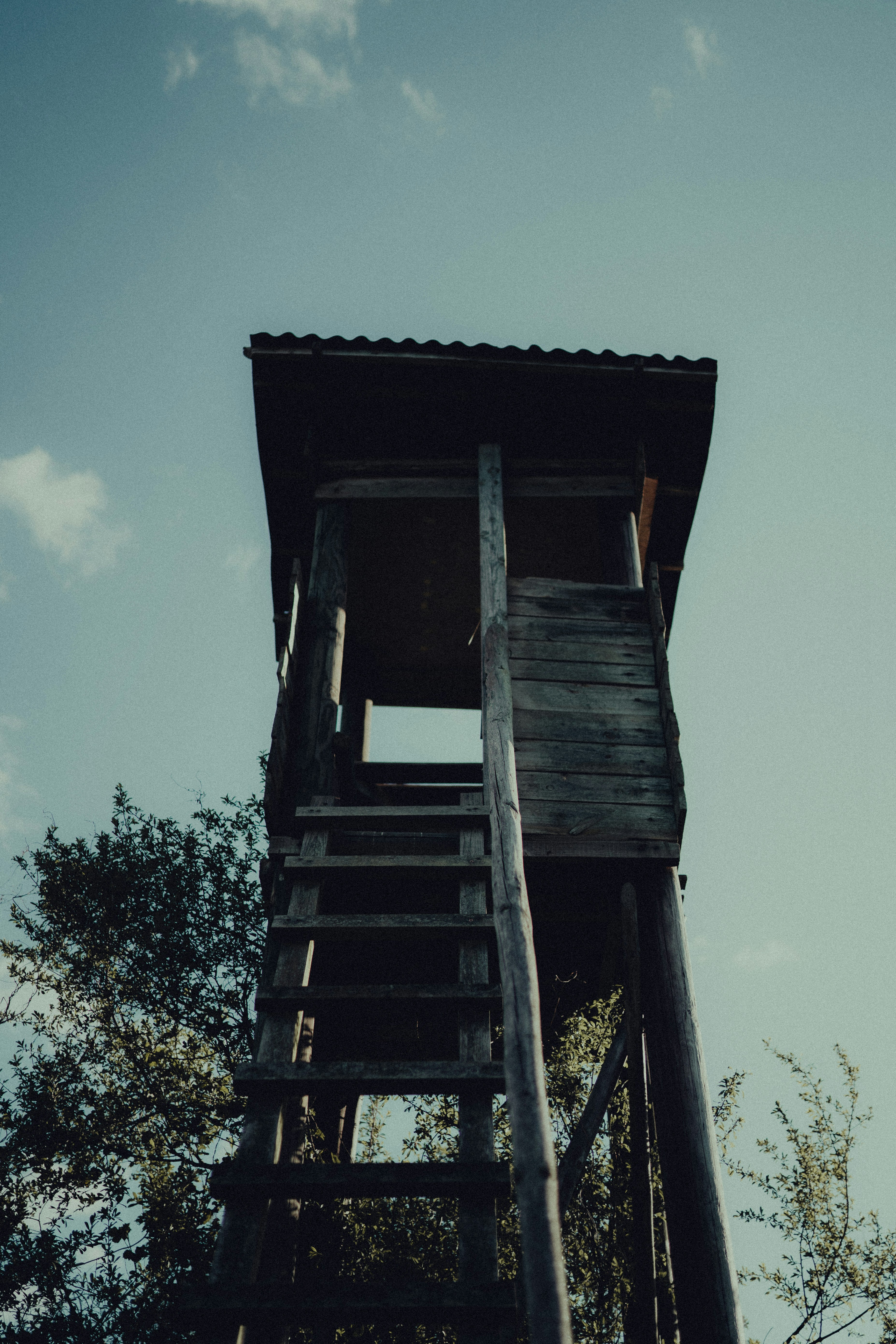 Photo by jakobustrop