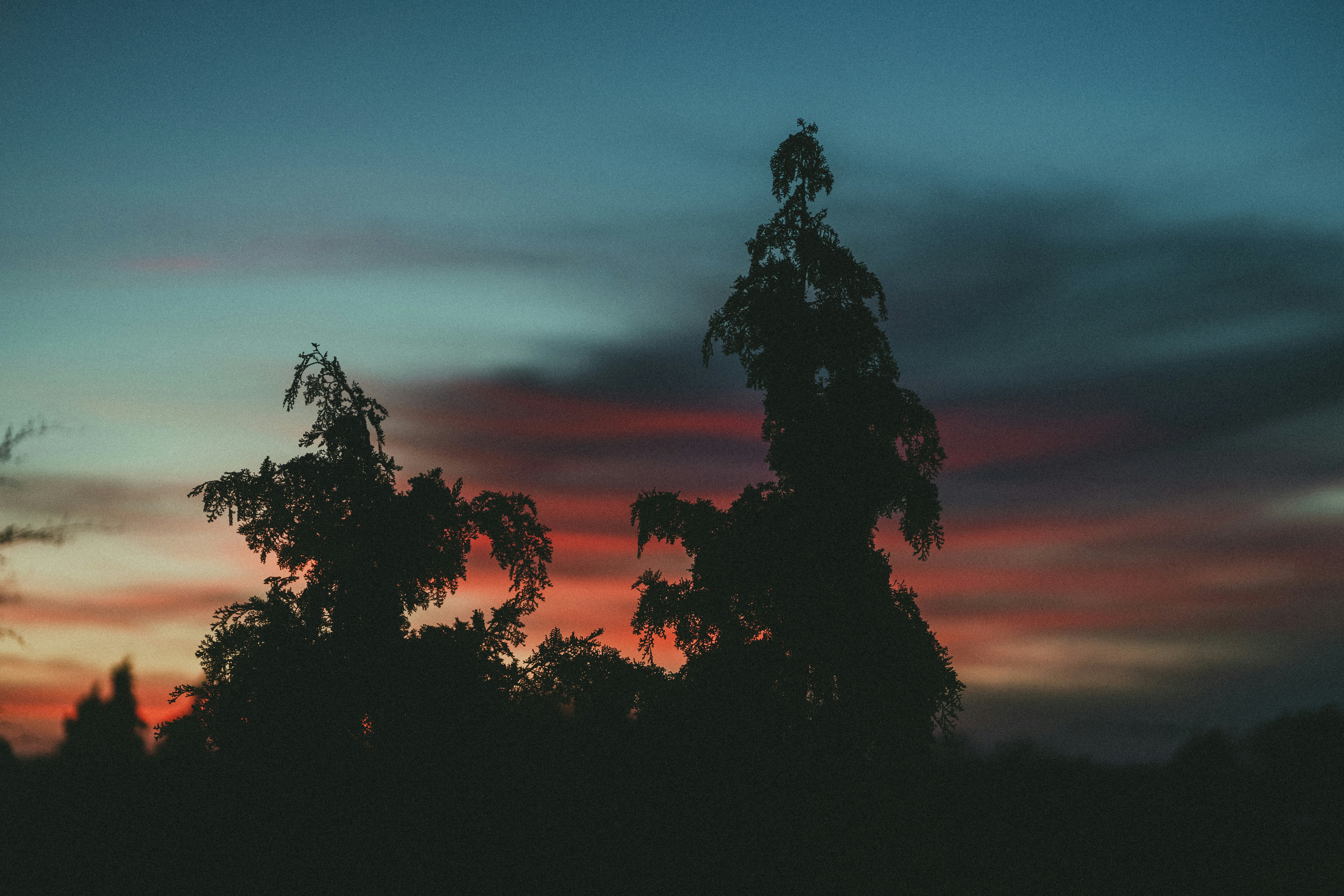 Photo by jakobustrop