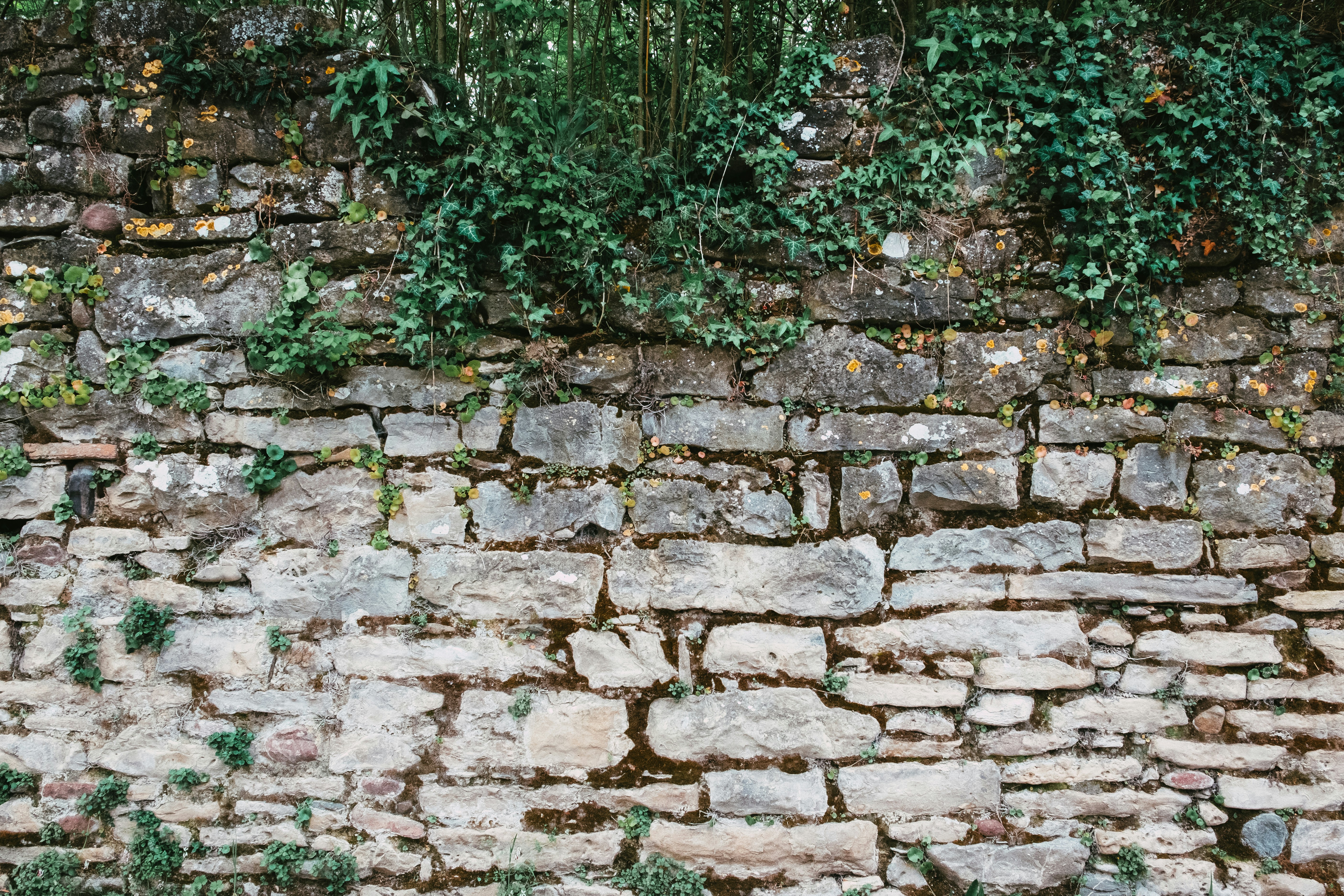 Photo by caleb_maxwell