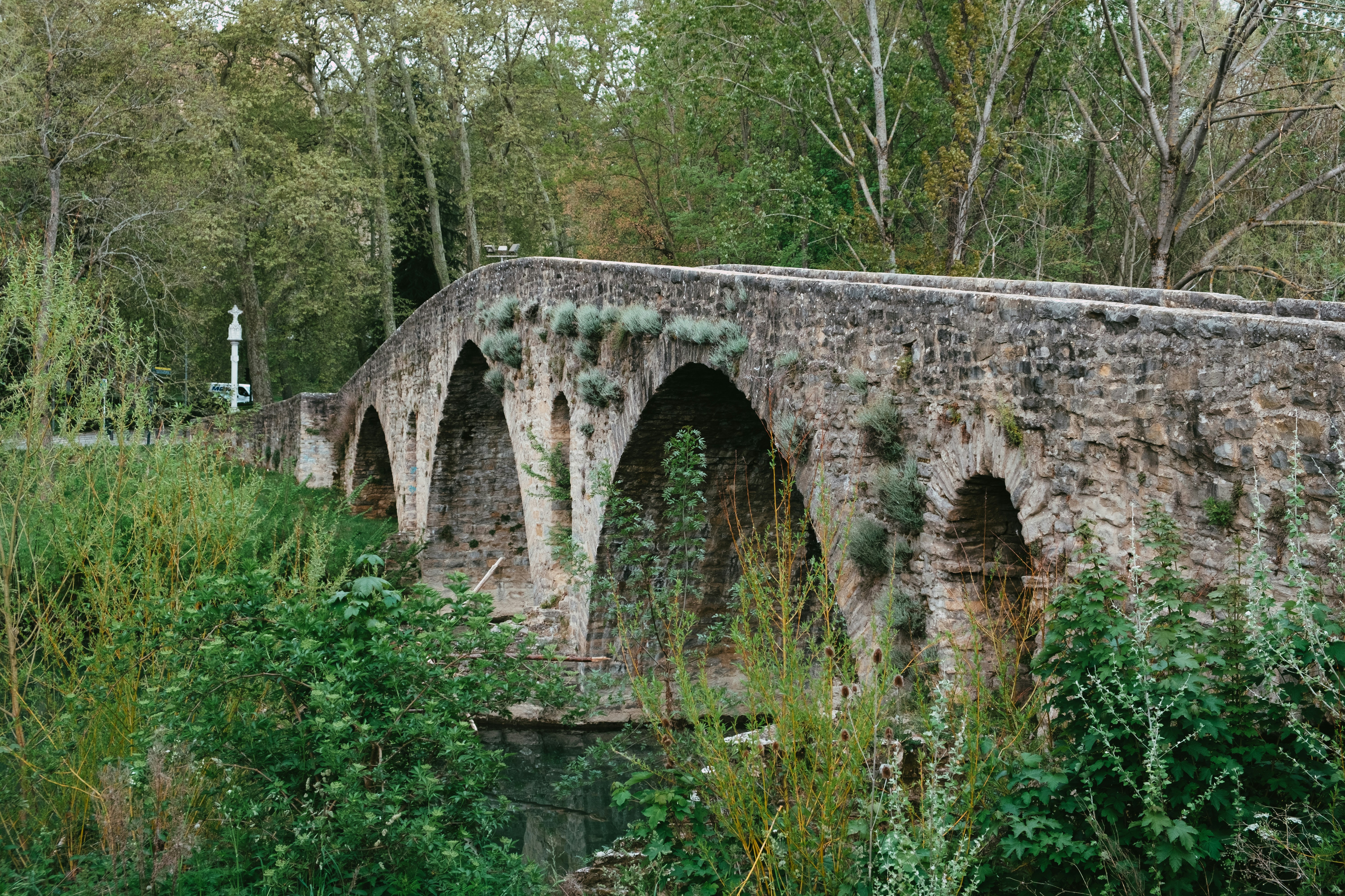 Photo by caleb_maxwell