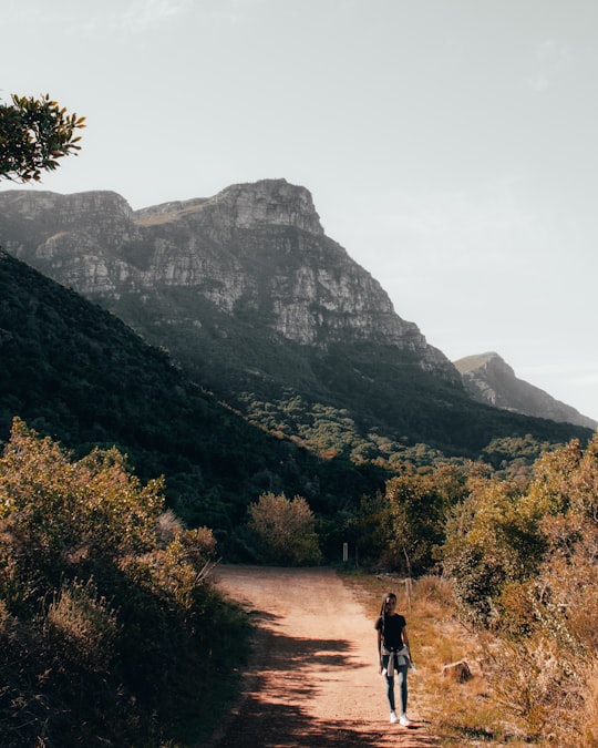 Kirstenbosch National Botanical Garden things to do in Cape Town