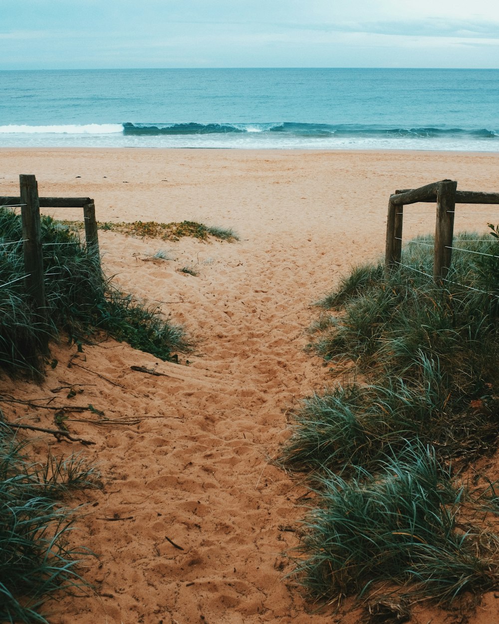 brown sand near body of water during daytime