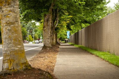 Sidewalks & Entryways