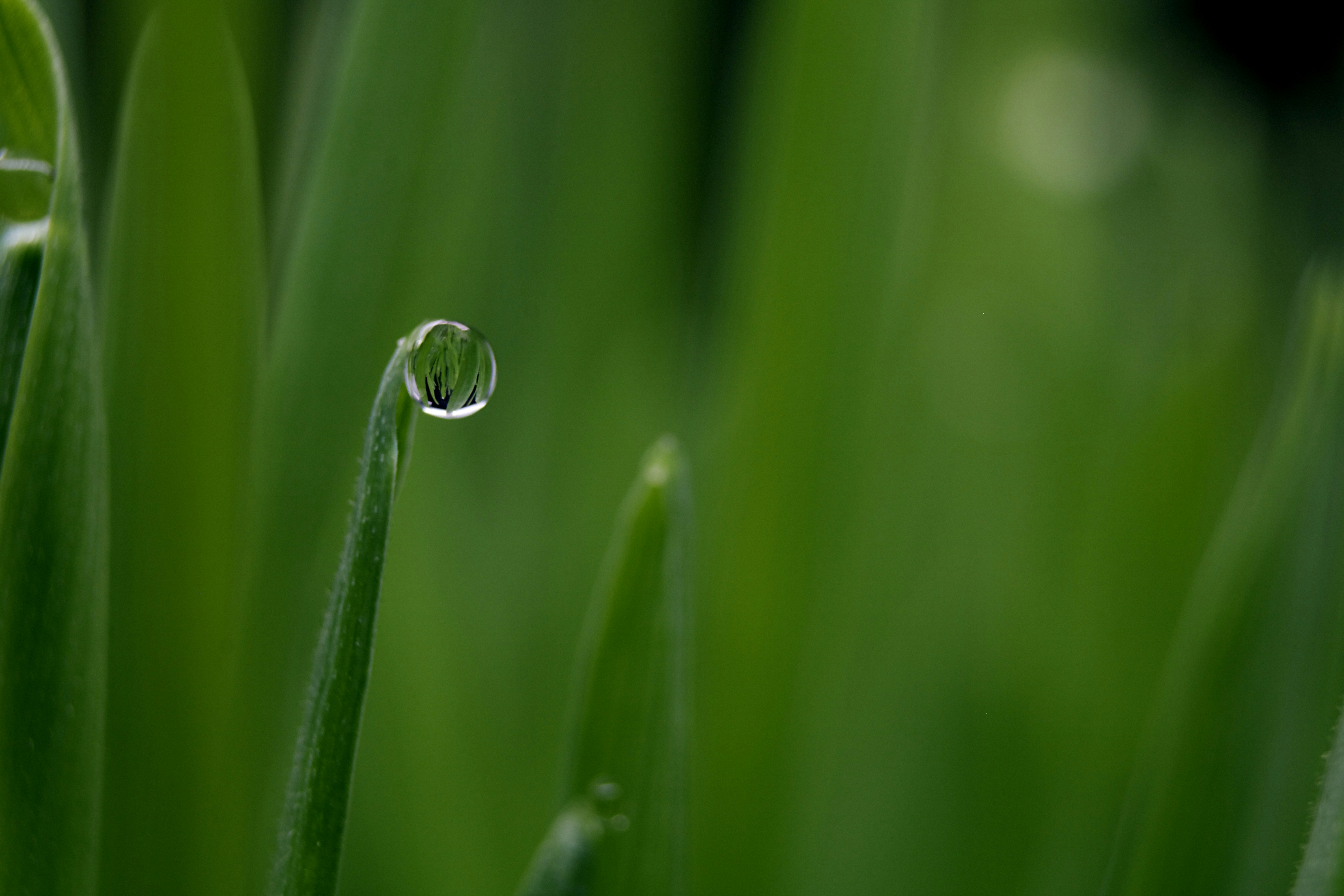 Photo by picsbyjameslee