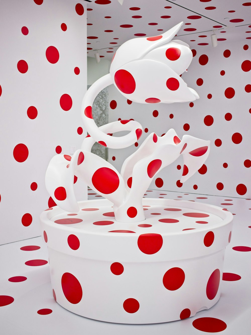 en milliard studie I fare Red Dot Pictures | Download Free Images on Unsplash