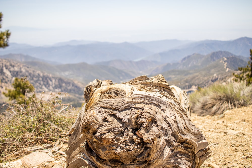 brown rock formation on brown field during daytime