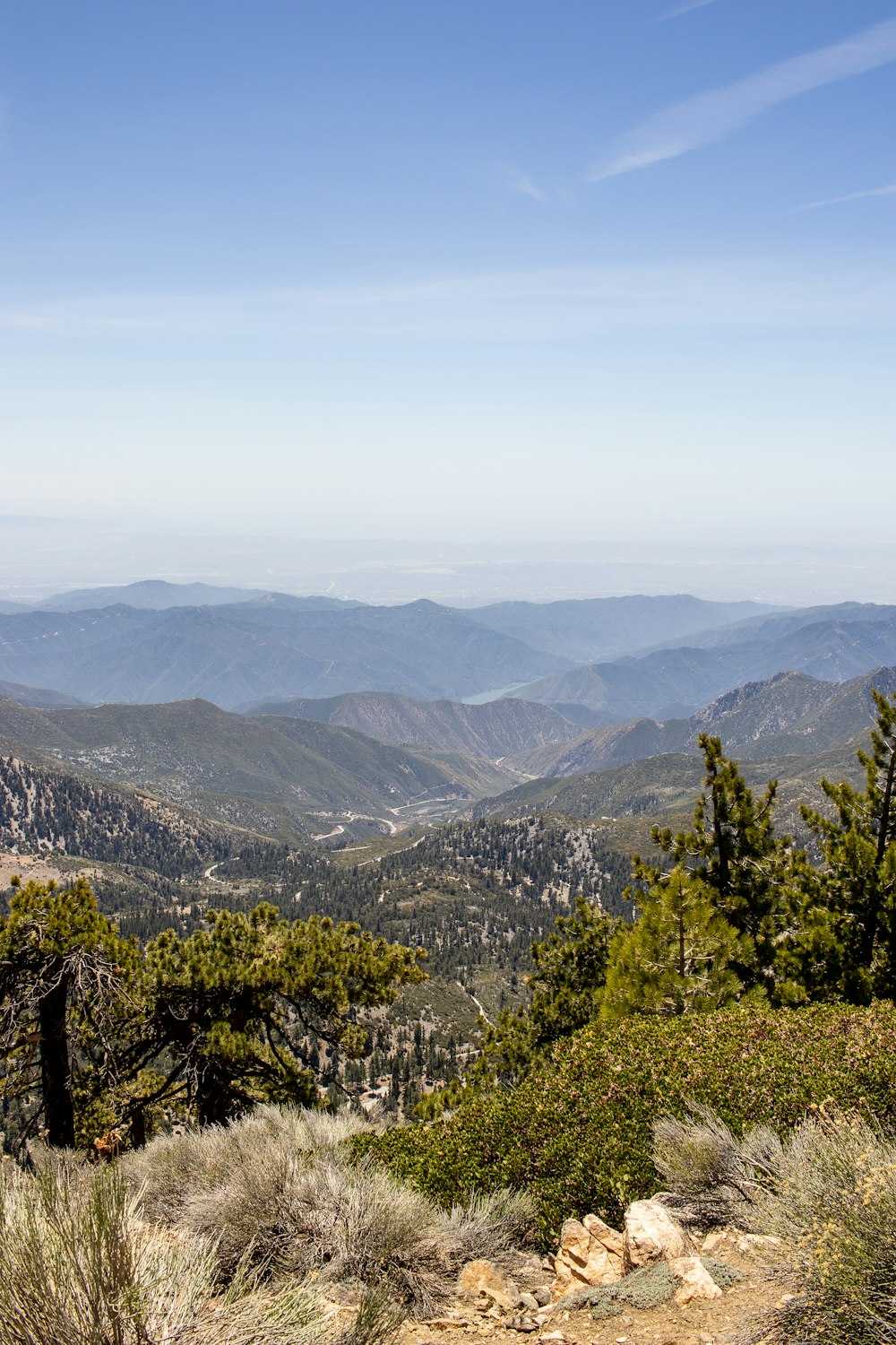 green trees on mountain during daytime