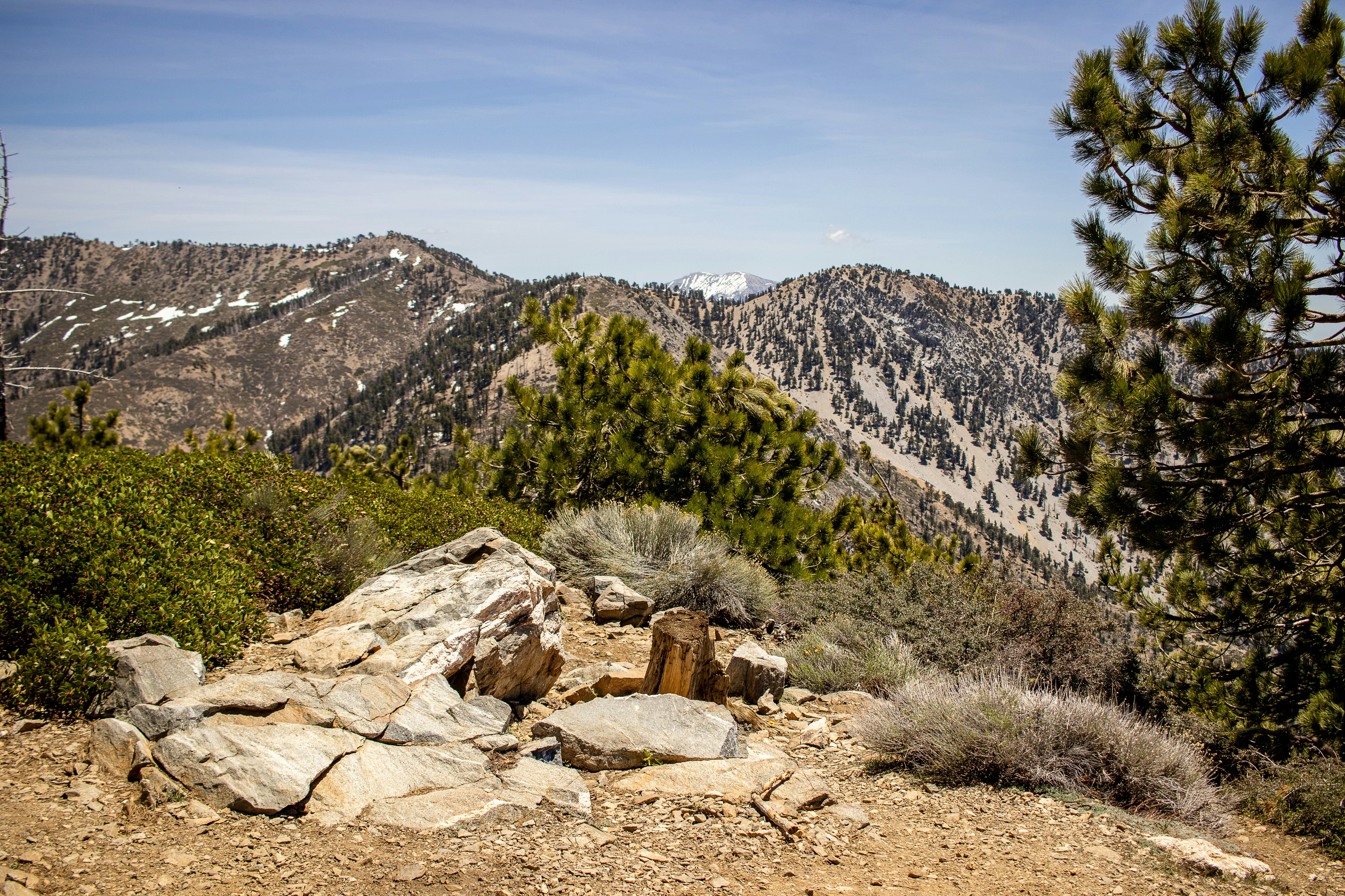 green grass and trees near mountain during daytime
