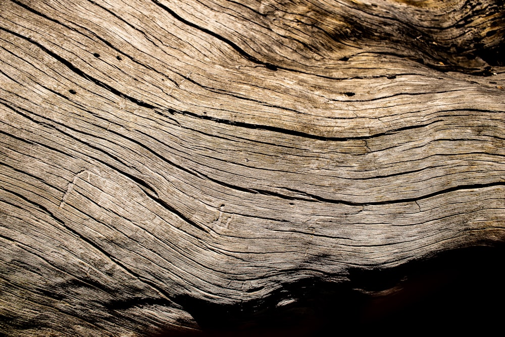 bûche de bois brun et noir