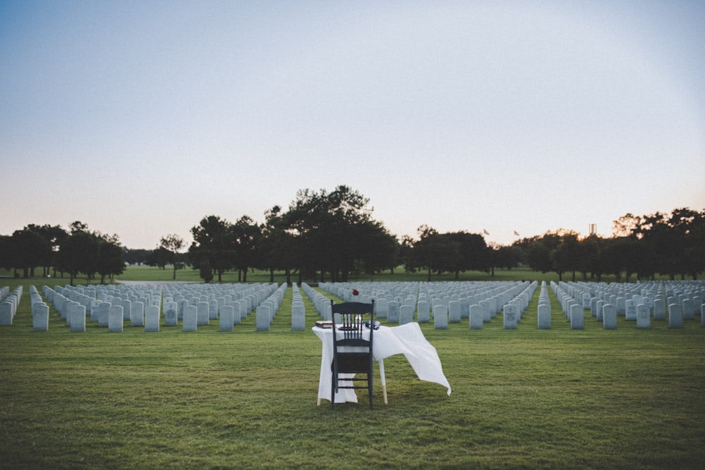 banc en bois blanc et vert sur le terrain d’herbe verte pendant la journée