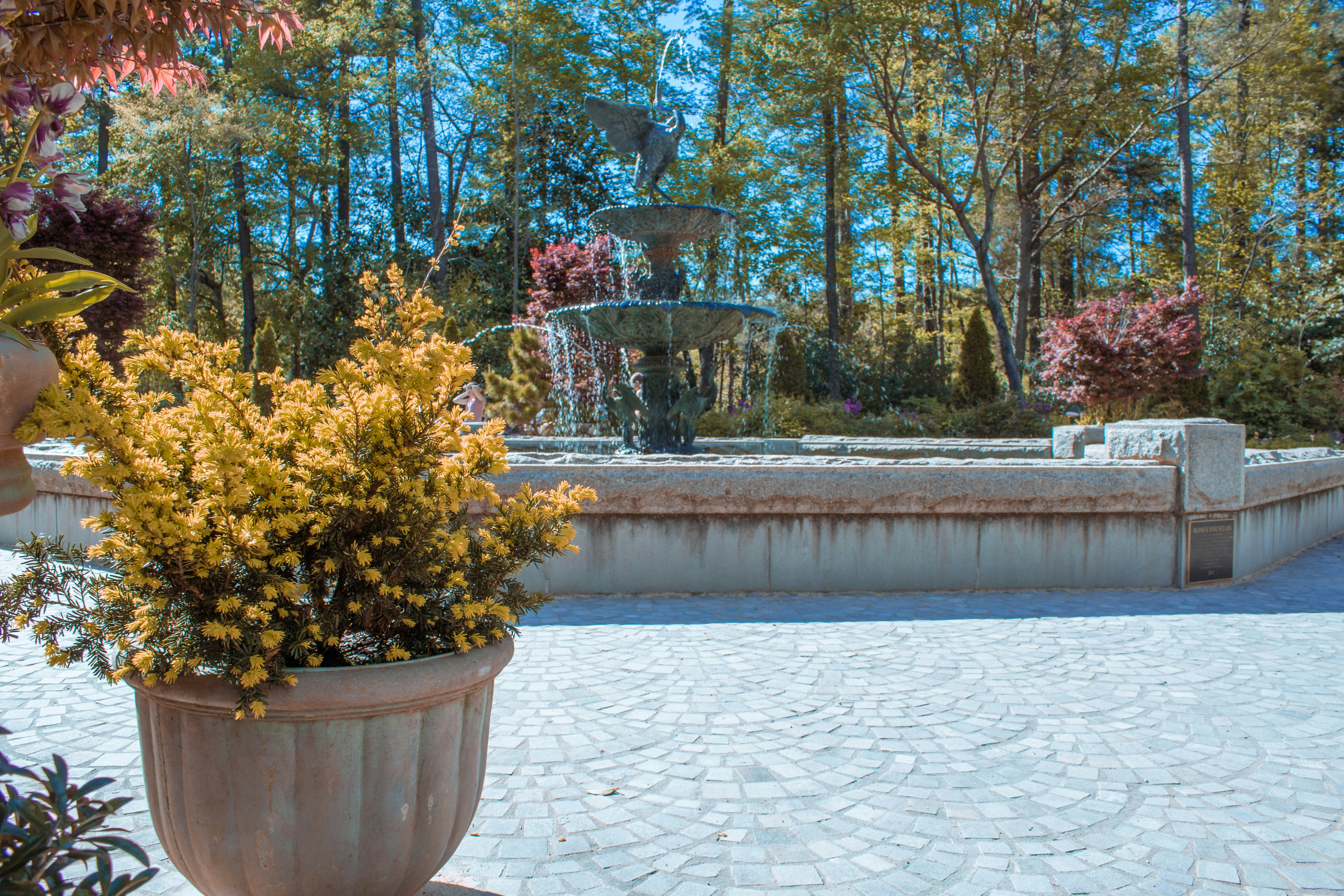 Black Diamond Paver Stones & Landscape, Inc. — Paver Stone Installation