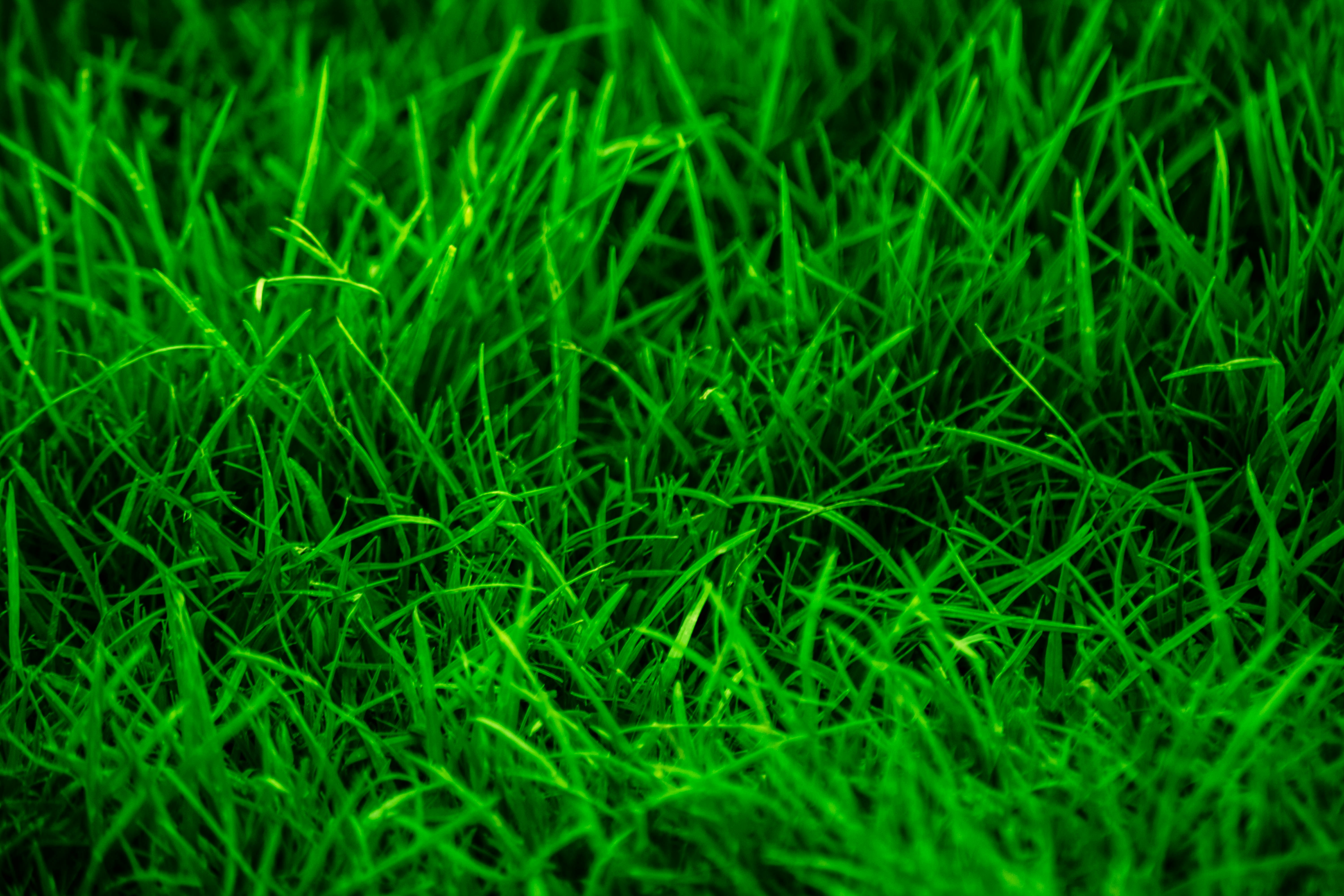 Photo by hassanali3000