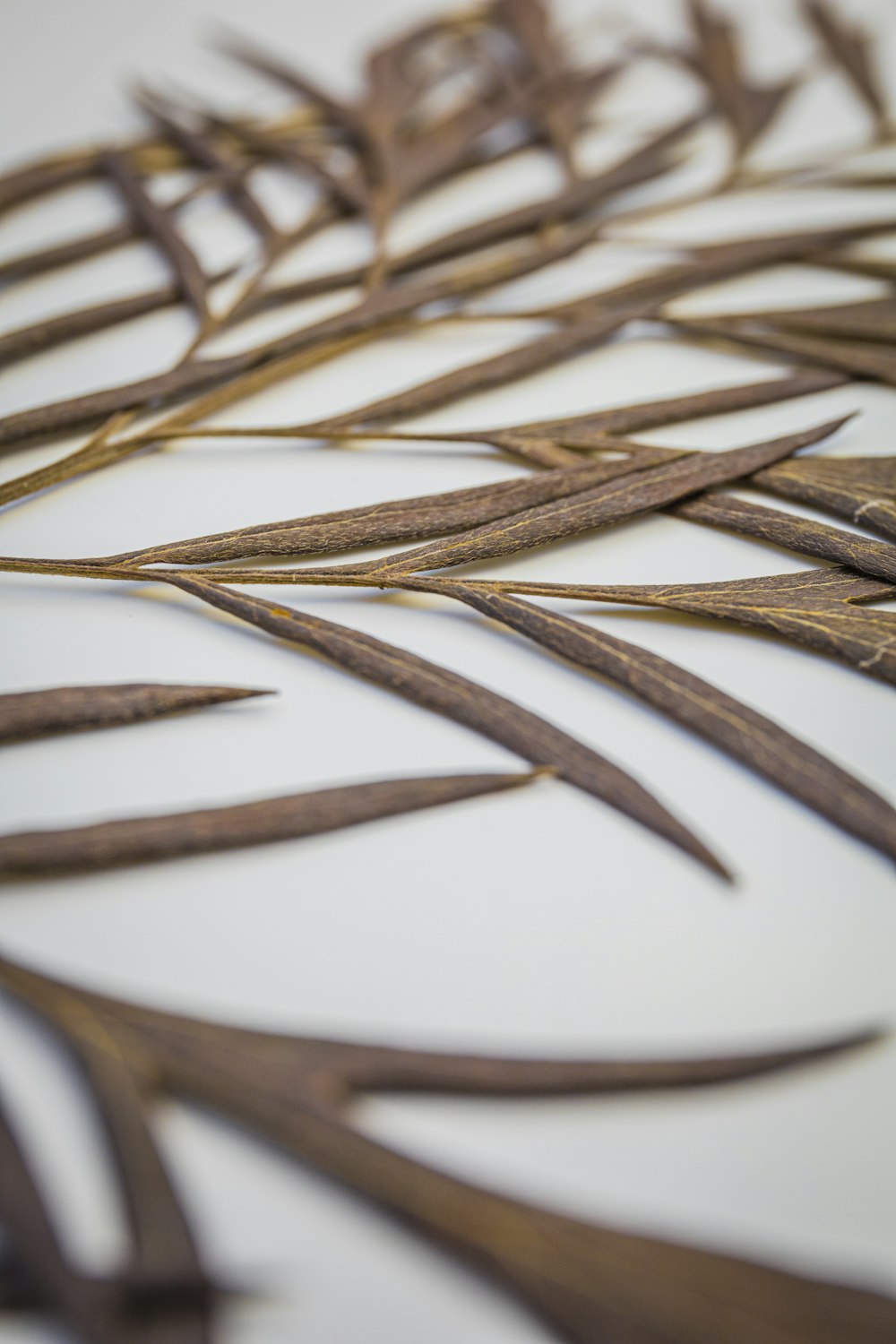 a close up of a bunch of scissors on a table