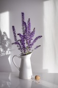 purple flowers in white ceramic vase