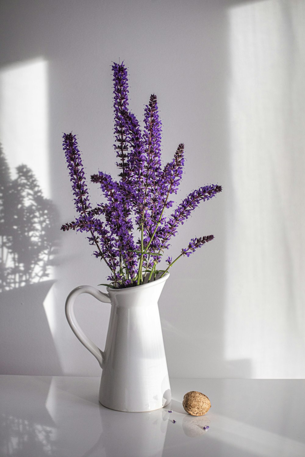 purple flowers in white ceramic vase