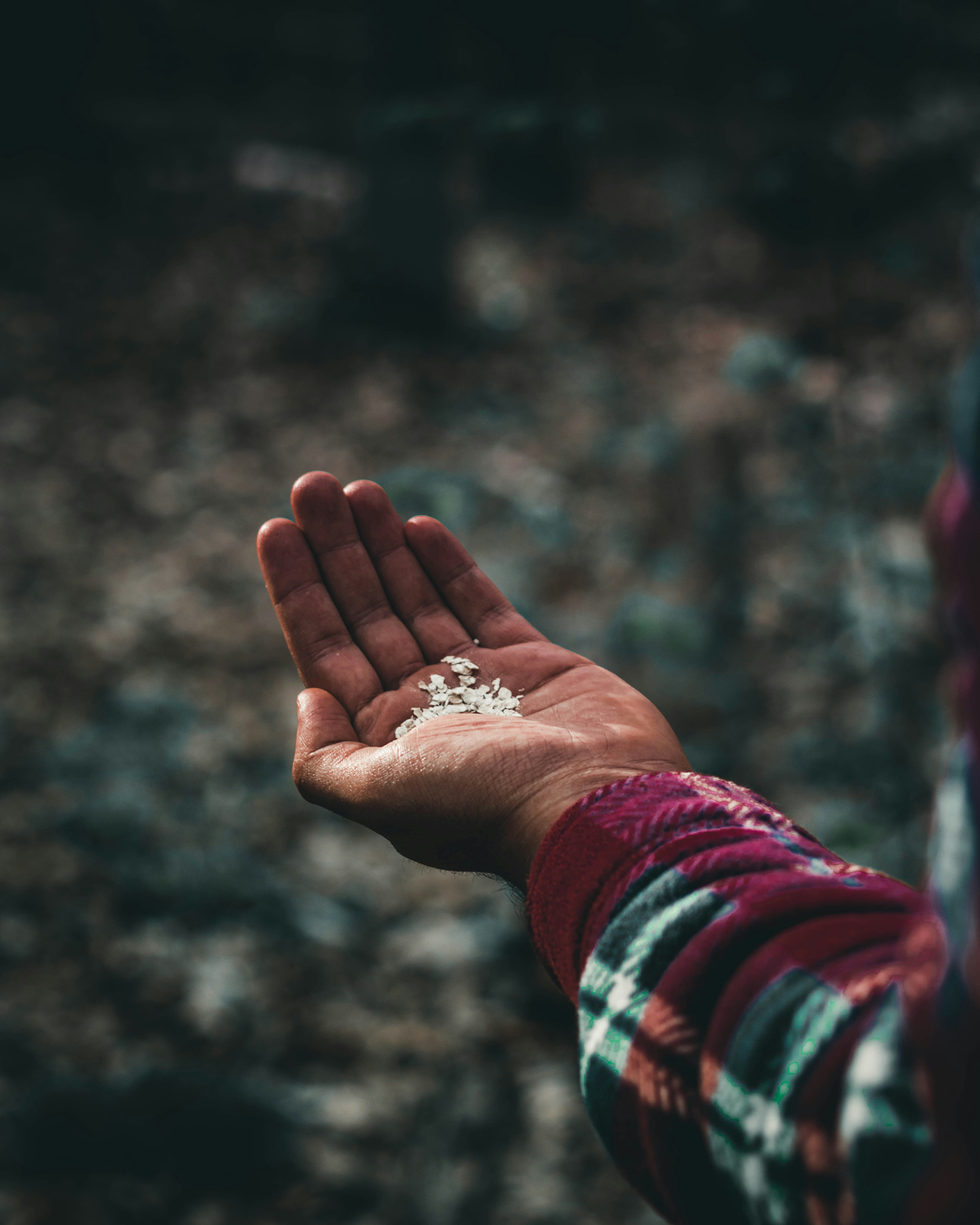 Hand Ring Pictures Download Free Images On Unsplash