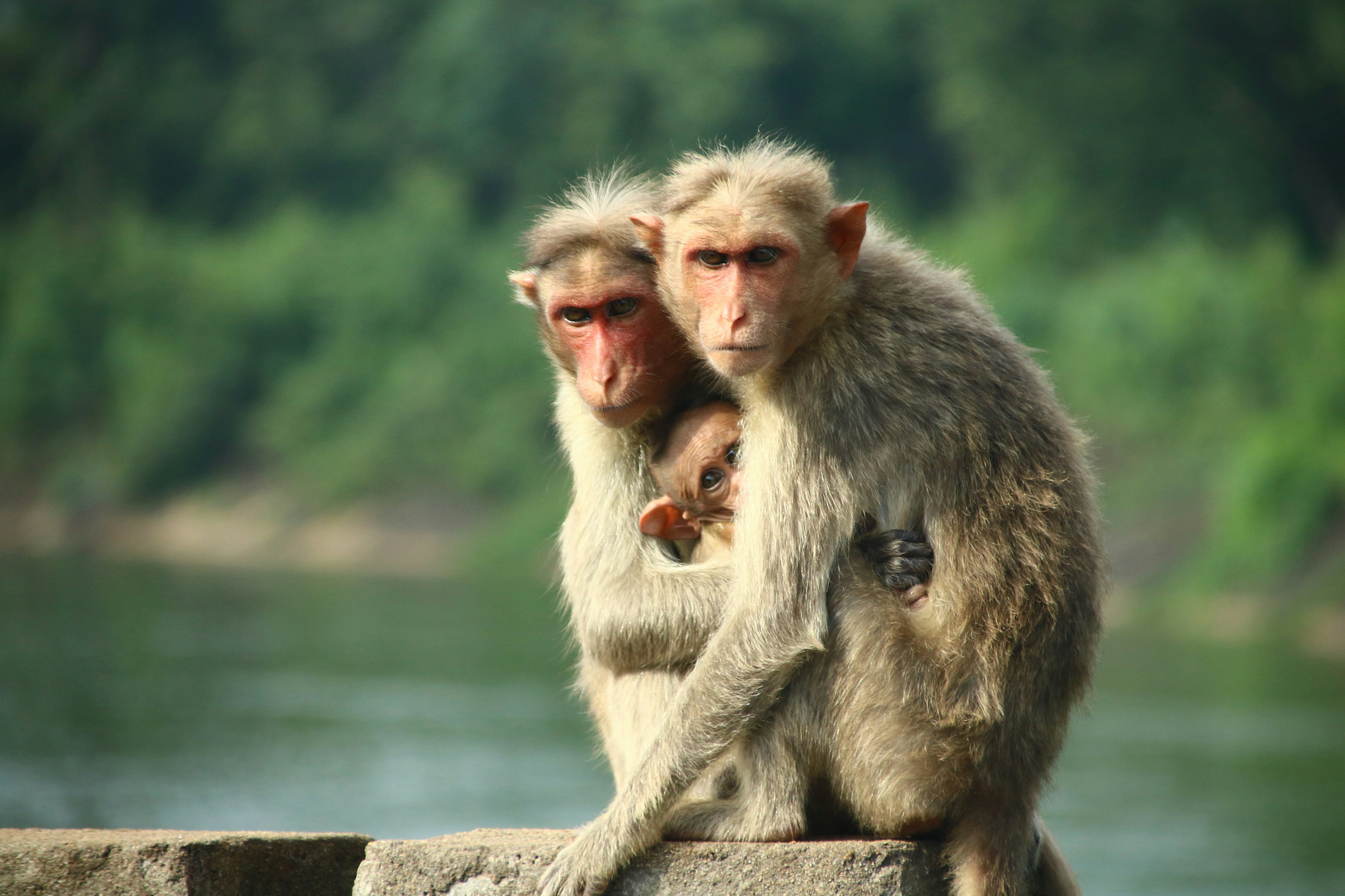 Photo by theoldschool123