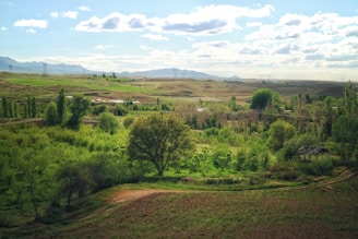 A professional female lawyer reviewing land documents with rural landscapes in the background.