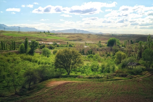 A professional female lawyer reviewing land documents with rural landscapes in the background.