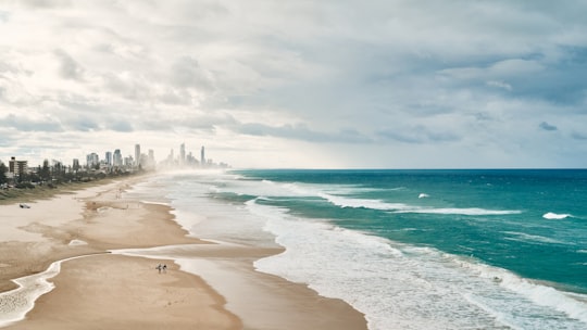 people on beach during daytime in Gold Coast Australia