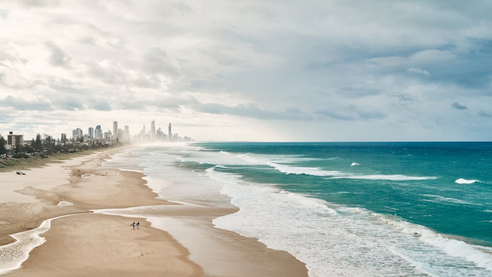 people on beach during daytime