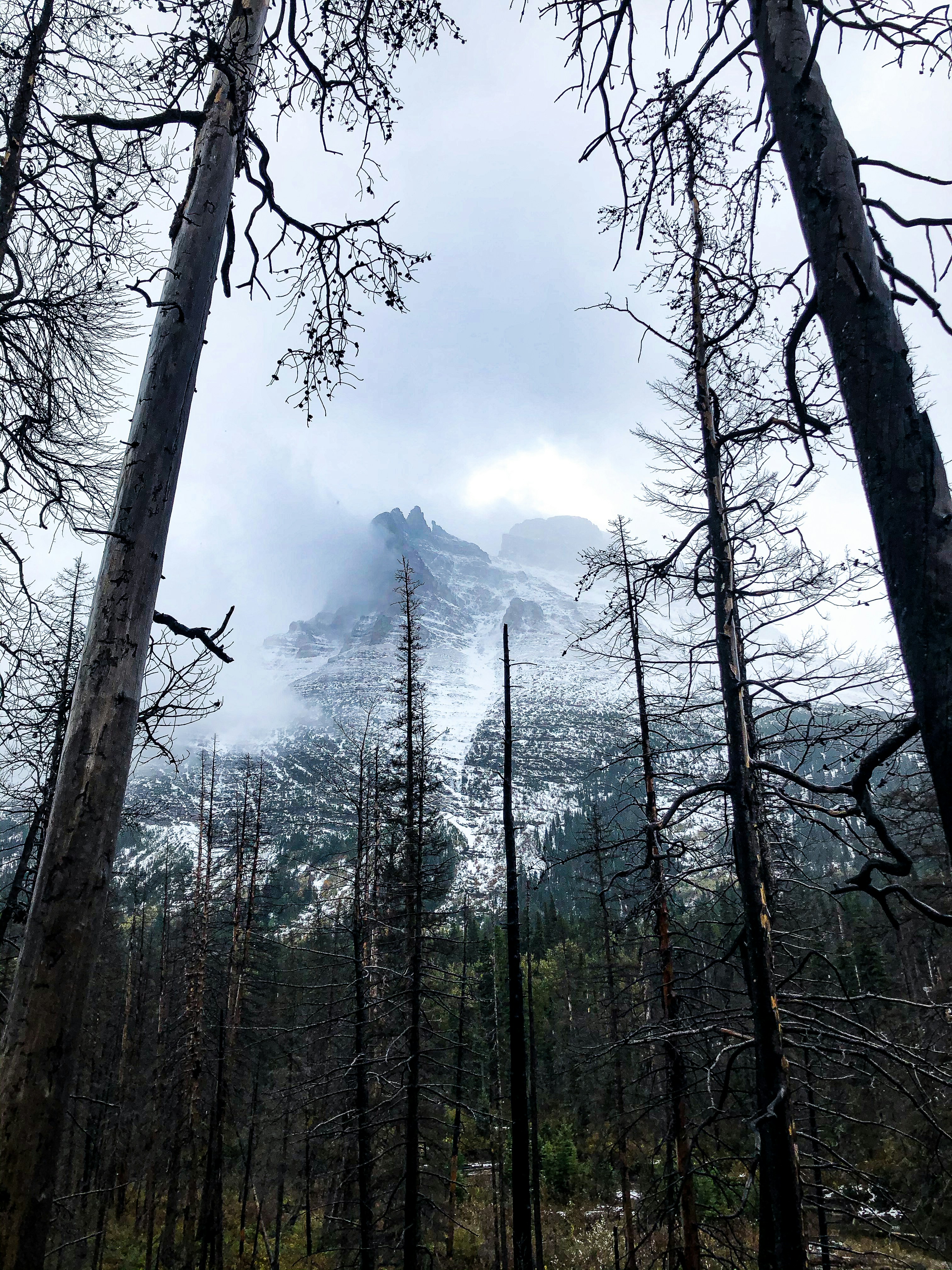 #travel #montana #clouds #hiking