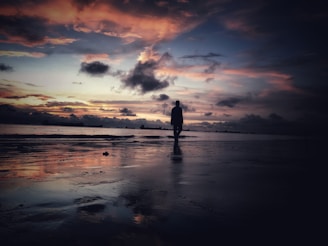 silhouette of person standing on seashore during sunset