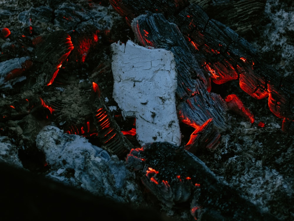 burning wood on fire pit